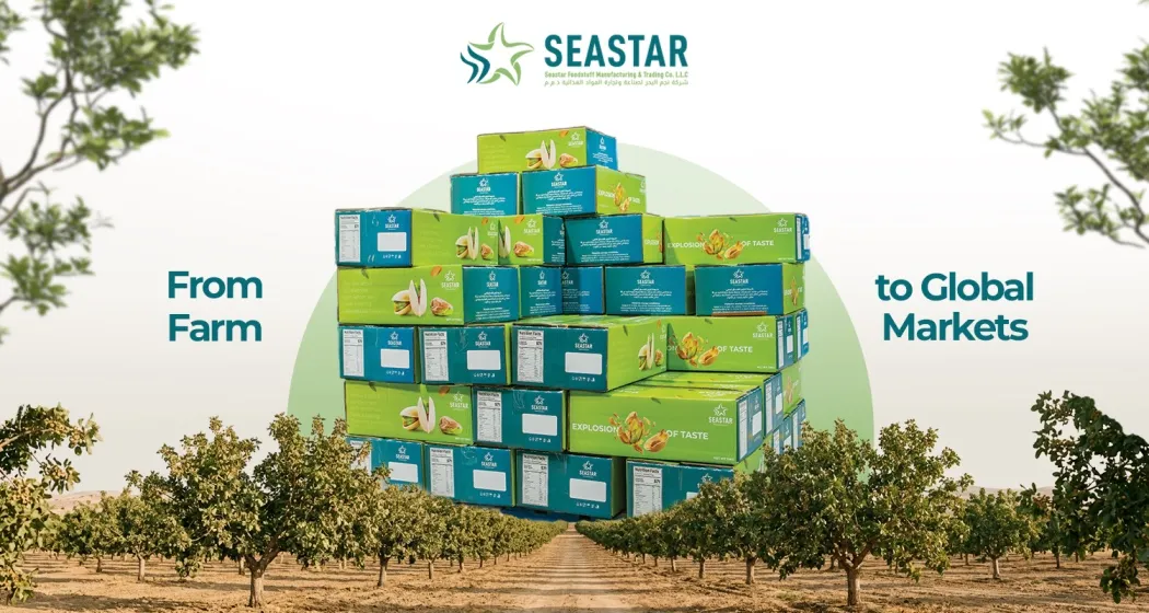 From Farm to Global Markets: How Modern Pistachio Processing Ensures Quality, Consistency, and Global Supply Reliability