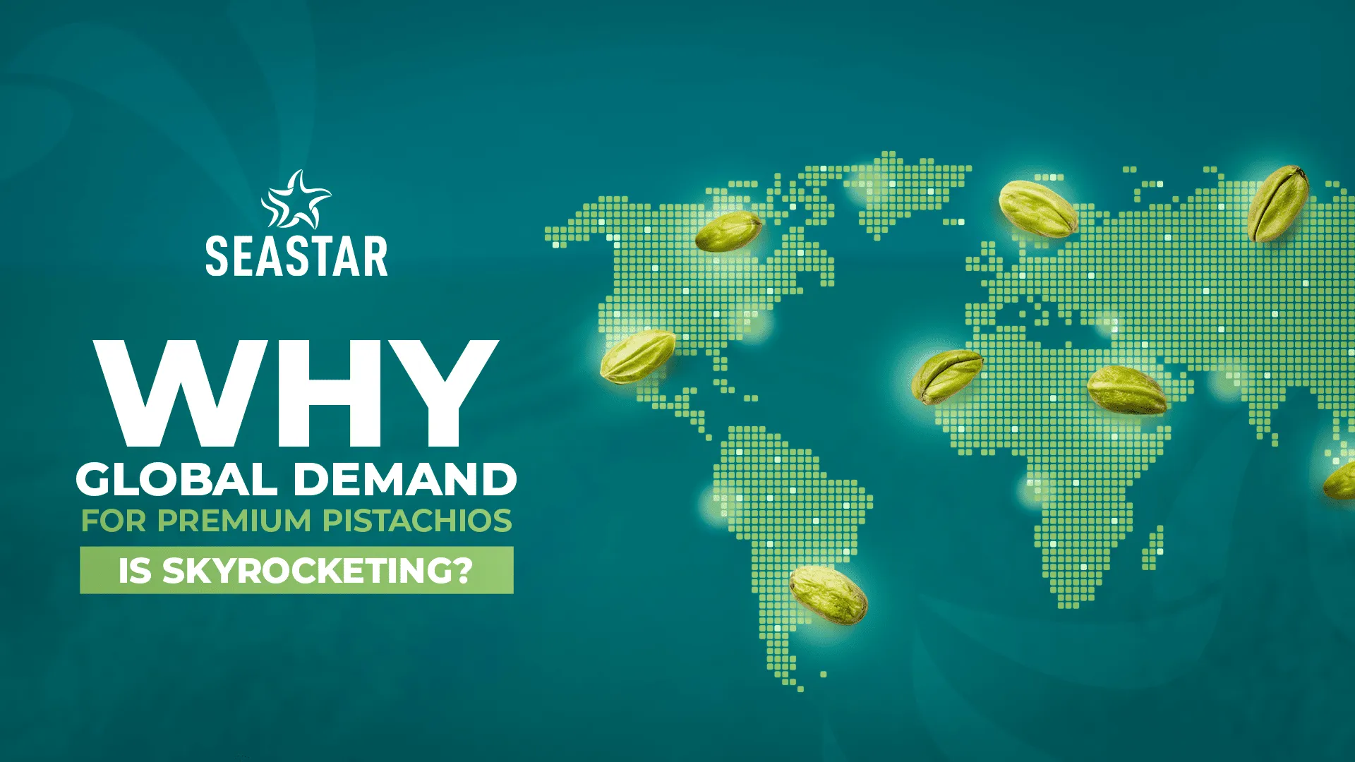 The New Green Gold: Why Global Demand for Premium Pistachios is Skyrocketing